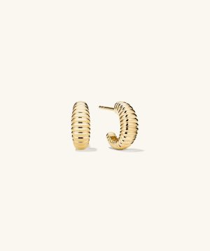 Dôme Texture Small Hoops